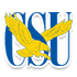 特拉华州立大学